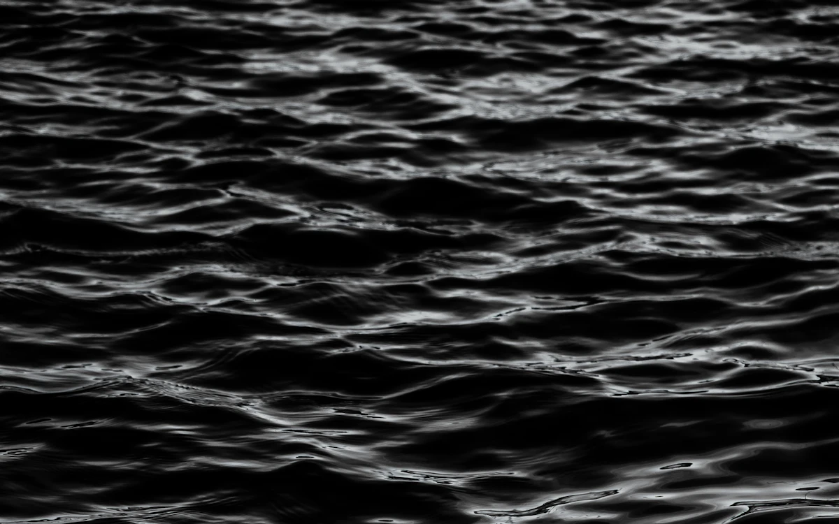 body of water during daytime