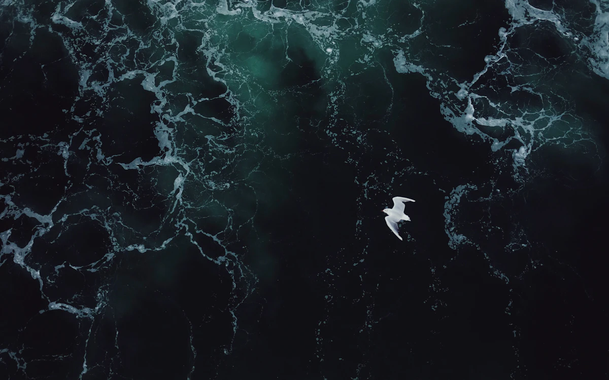 A white seagull flying over dark ocean water with swirling white foam