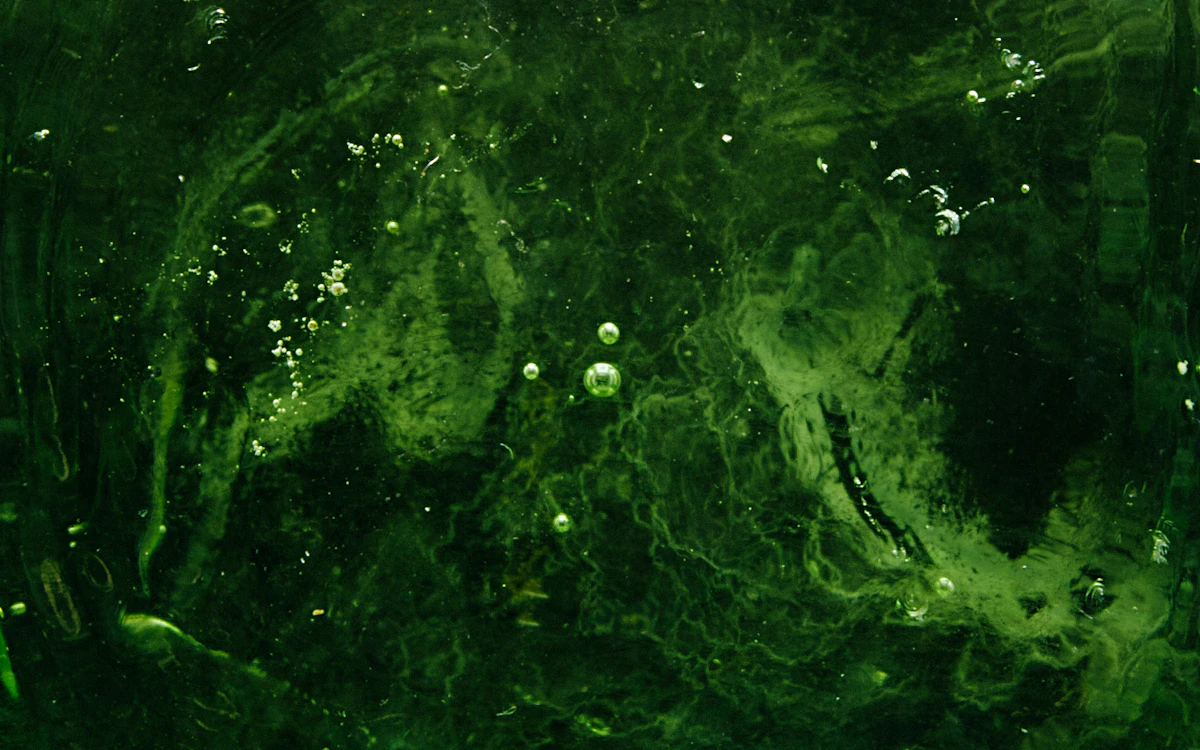 Small air bubbles suspended in a dark green liquid
