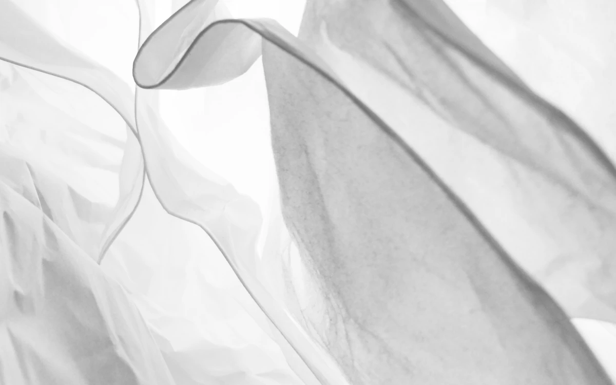 white textile on white textile